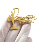 stainless steel pin