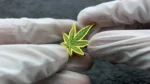 1514-1-Green Leaf Patterned Enamel Pin