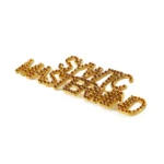 1665-1-Golden Hollowed Out Diamond Studded Pin