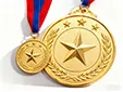 The Ultimate Guide to Oversized Awards Big Medals, Large Medals, and Giant Medals